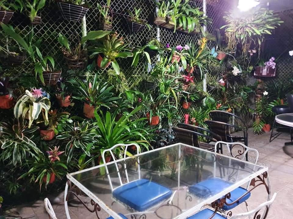 Villa San Antonio - El Valle De Anton Luaran gambar